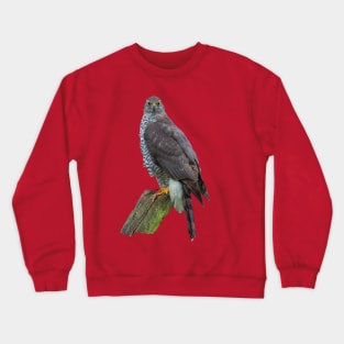 Just waiting for dinner Crewneck Sweatshirt